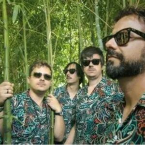 Vigoplan | Los Mejillones Tigre