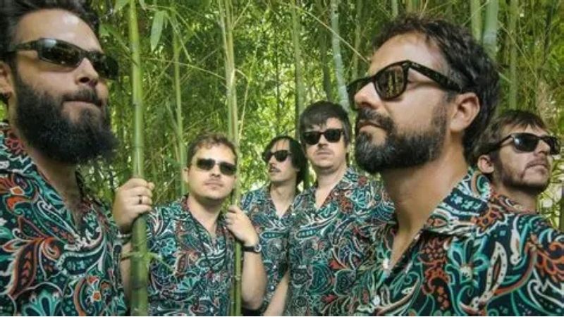 Vigoplan | Los Mejillones Tigre