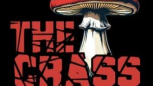 Vigoplan | The Crass (2)