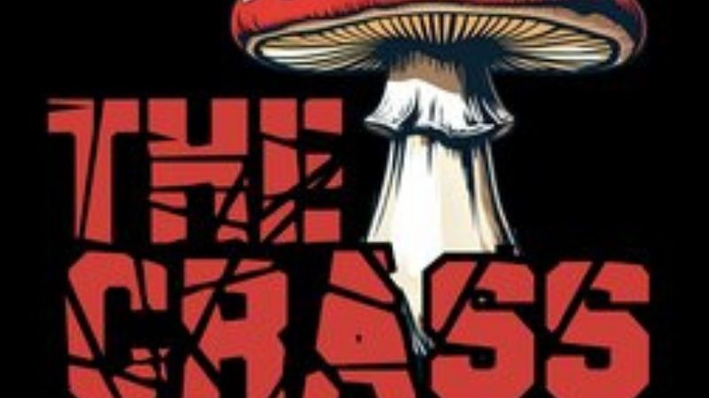 Vigoplan | The Crass (2)