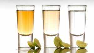 Vigoplan | Degustación