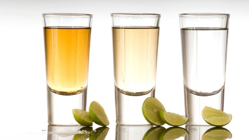 Vigoplan | Degustación