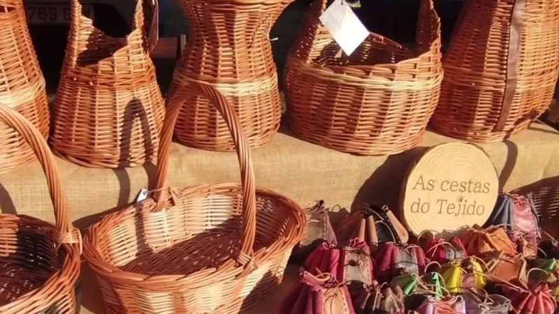 Vigoplan | Mercado Reviravolta