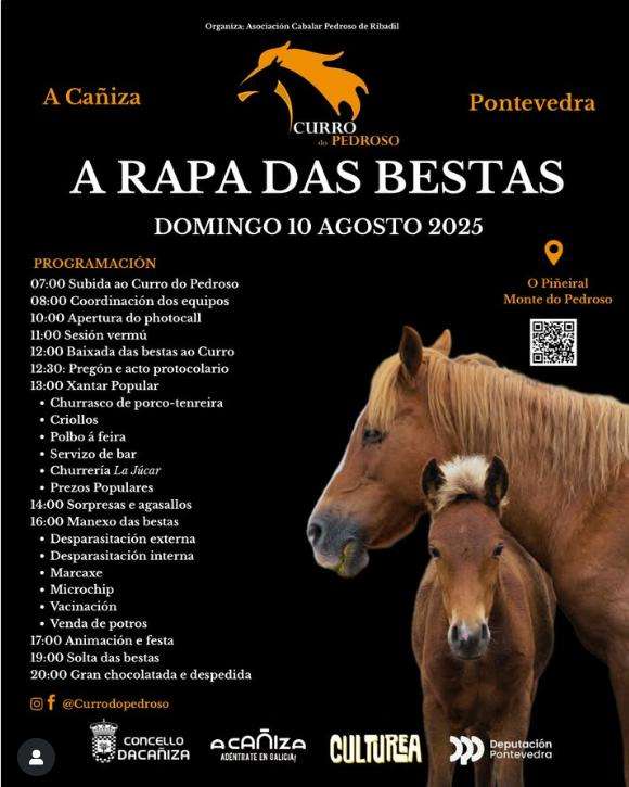 Vigoplan | Rapa Das Bestas