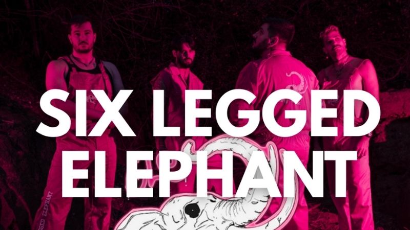 Vigoplan | Six Legged Elephant Solpores Na Rebullón