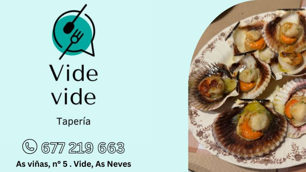 Vigoplan | Videvide