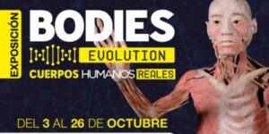 Vigoplan | Exposición Bodies Evolution En Vigo Auditorio Mar De Vigo