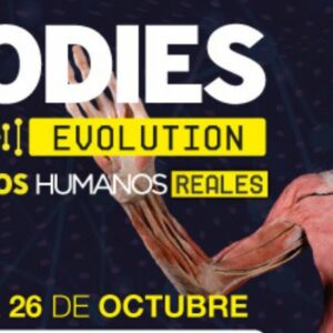 Vigoplan | Exposición Bodies Evolution En Vigo Auditorio Mar De Vigo