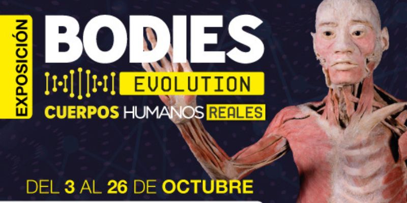 Vigoplan | Exposición Bodies Evolution En Vigo Auditorio Mar De Vigo
