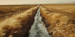 Vigoplan | La Barraca