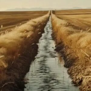 Vigoplan | La Barraca