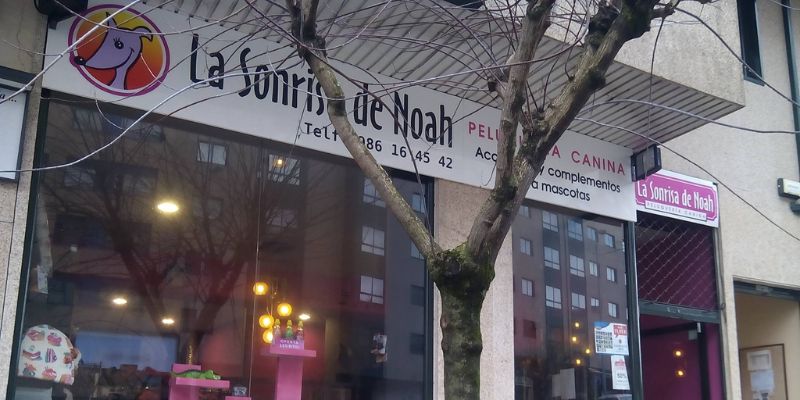 Vigoplan | La Sonrisa De Noah