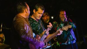 Vigoplan | Three Roosters