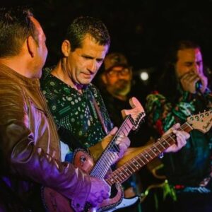 Vigoplan | Three Roosters