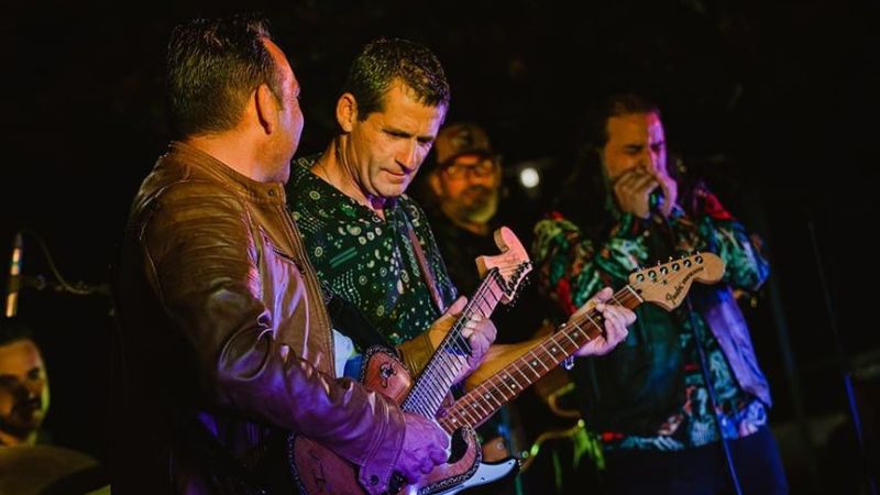 Vigoplan | Three Roosters