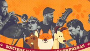 Vigoplan | Aloia Fest