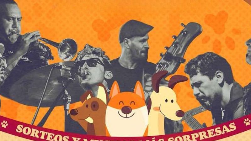 Vigoplan | Aloia Fest
