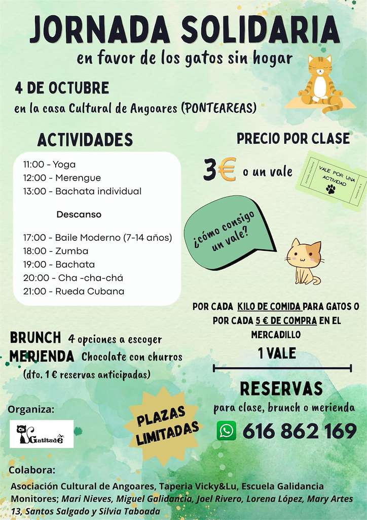 Vigoplan | Jornada Solidaria En Favor De Los Gatos Sin Hogar Ponteareas 2025