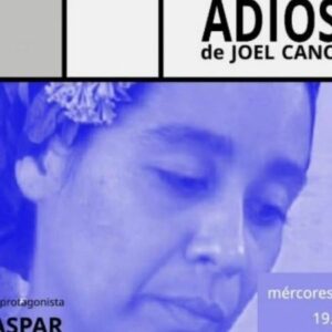 Vigoplan | Adiós
