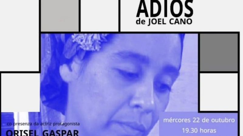 Vigoplan | Adiós