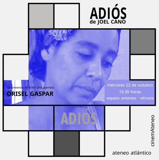 Vigoplan | Adiós