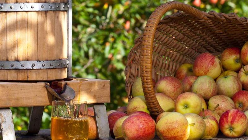 Vigoplan | Fiesta De La Sidra De Bembrive