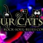 Vigoplan | Fourcats