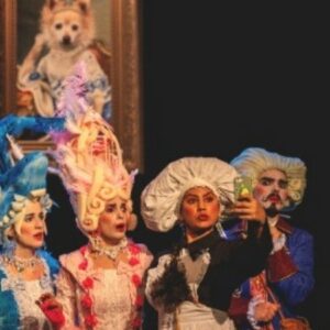 Vigoplan | Las Preciosas Ridículas