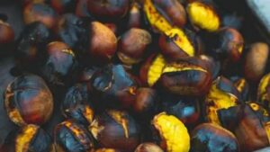 Vigoplan | Magosto As Neves