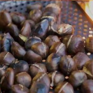 Vigoplan | Magosto De Camos