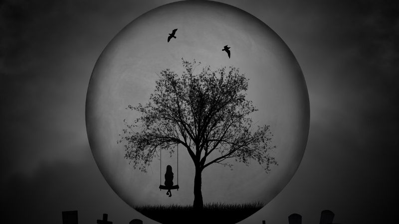 Vigoplan | Samaín 2025 Redondela