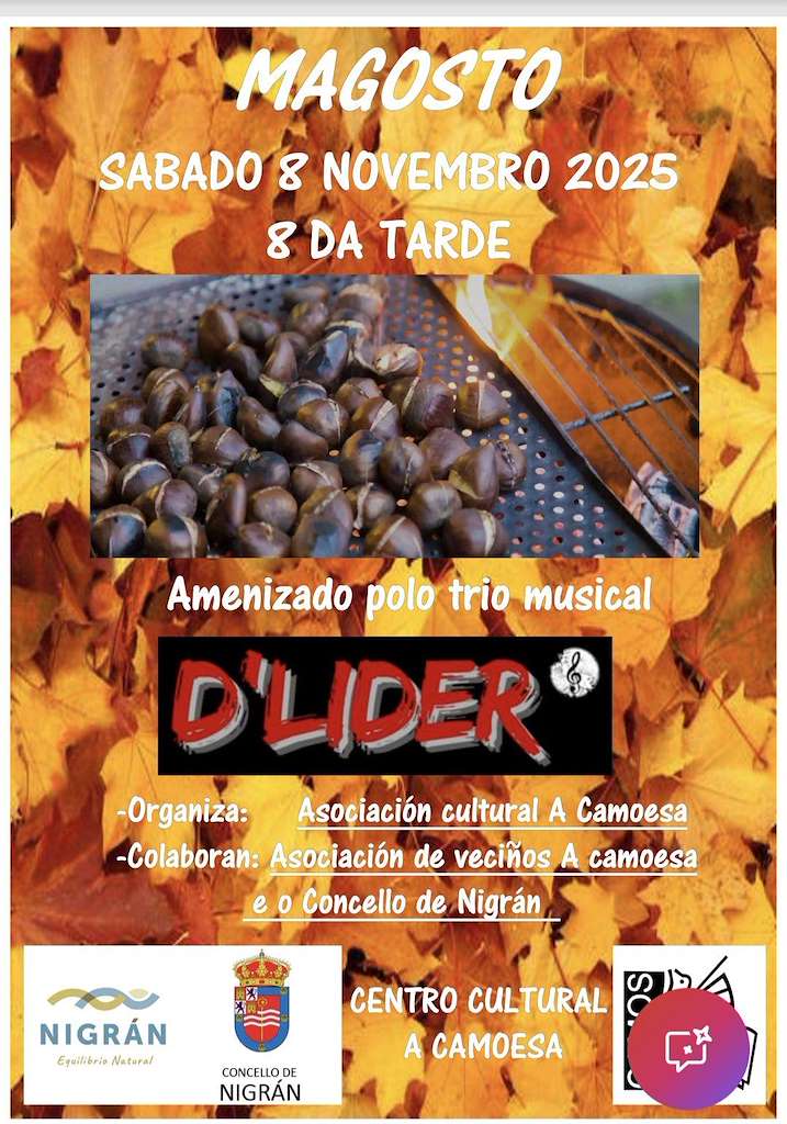 Vigoplan | Magosto De Camos Nigran Img16367n1t0