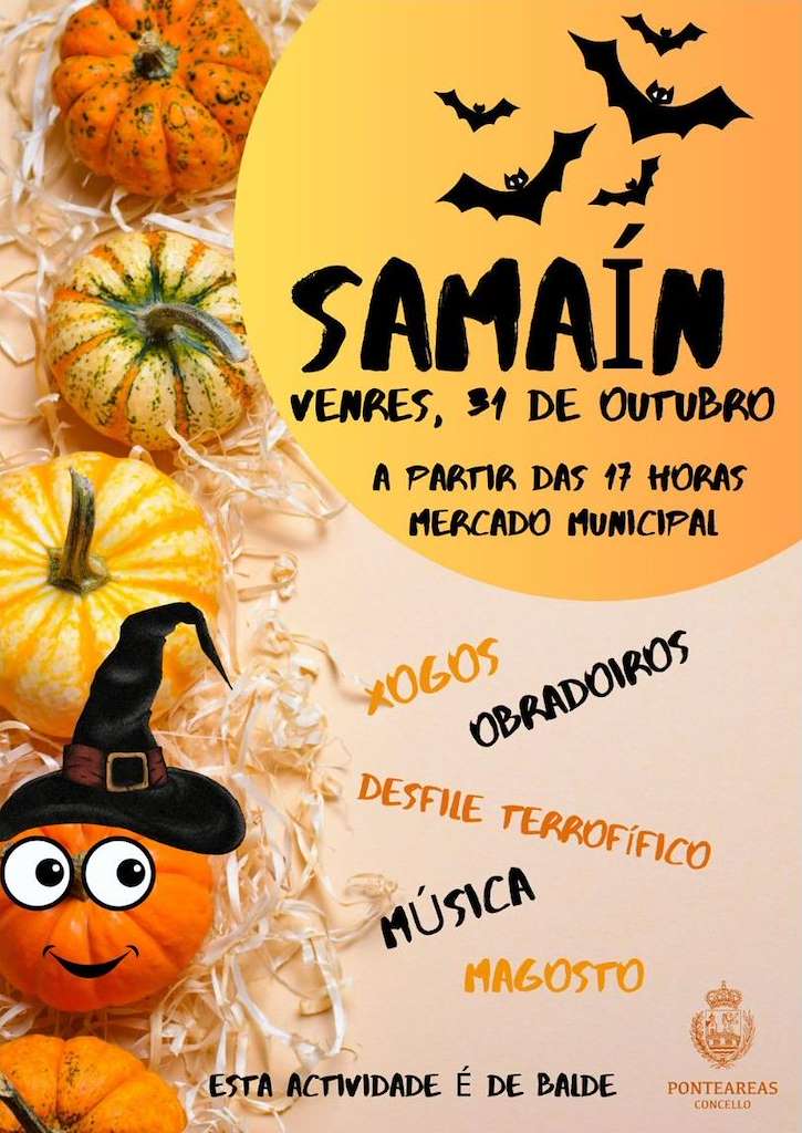 Vigoplan | Samaín Ponteareas