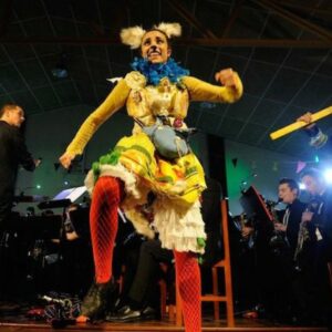 Vigoplan | A Gata Con Zocos