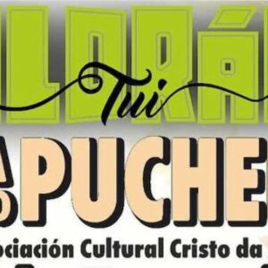 Vigoplan | Festa Do Pucheiro