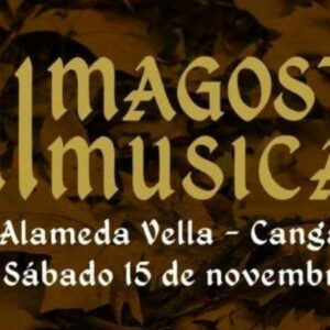 Vigoplan | Magosto Musical