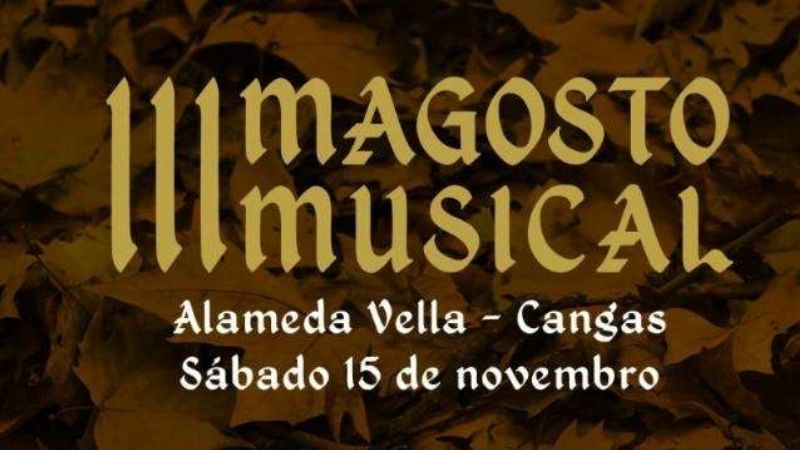 Vigoplan | Magosto Musical