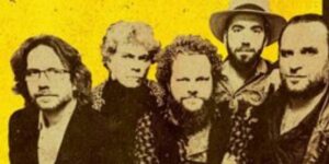 Vigoplan | Mambas Negras (2)