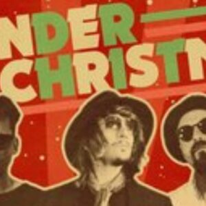 Vigoplan | Wonderchristmas Wondercovers