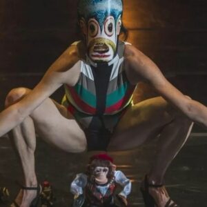 Vigoplan | Festival Catropezas (2)