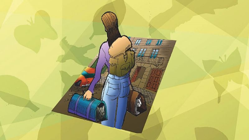 Vigoplan | As Aventuras De Joe & Fonte