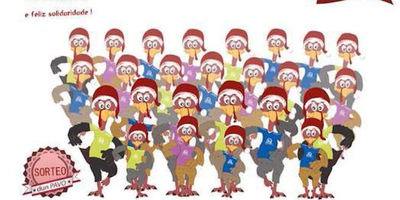 Vigoplan | Carreira Do Pavo (2)