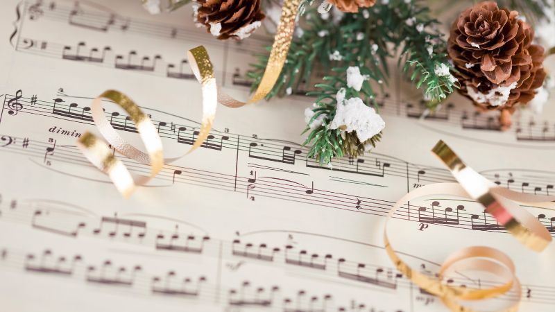 Vigoplan | Concerto De Panxoliñas