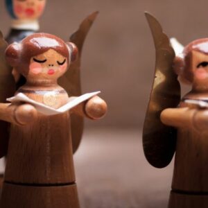 Vigoplan | Encuentro De Panxoliñas