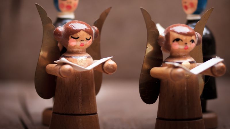 Vigoplan | Encuentro De Panxoliñas