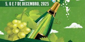 Vigoplan | Festa Do Viño