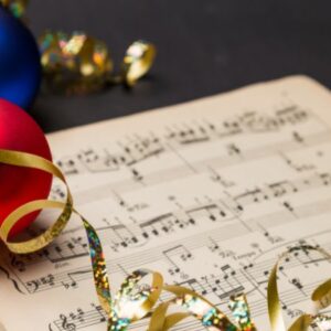 Vigoplan | Festival De Panxoliñas De O Rosal (2)