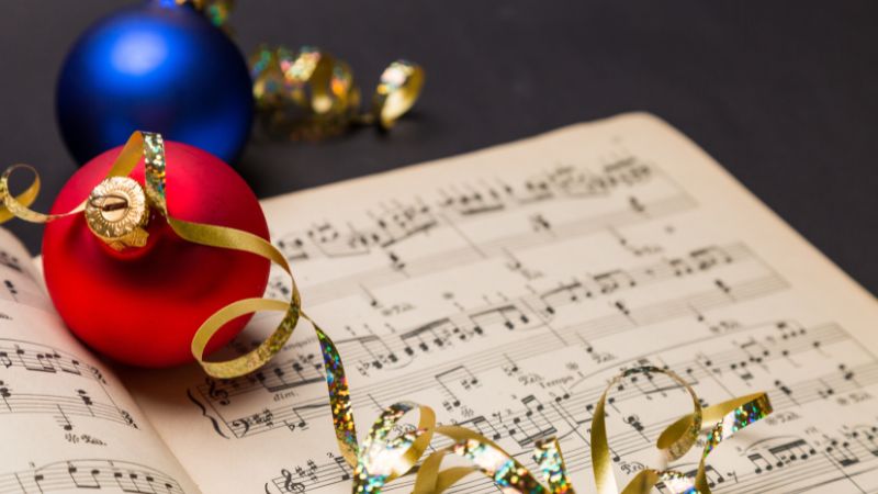 Vigoplan | Festival De Panxoliñas De O Rosal (2)