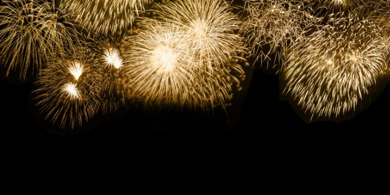 Vigoplan | Fin De Año 4