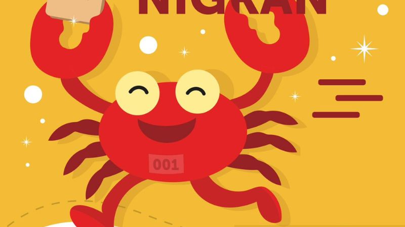 Vigoplan | Kilo Por Dorsal